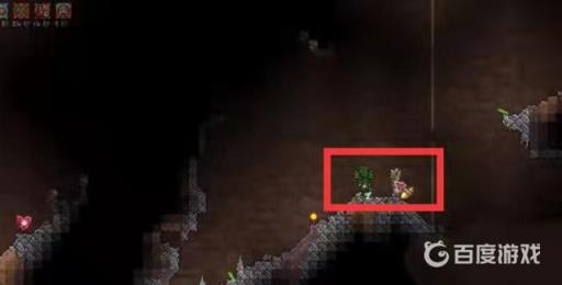 泰拉瑞亚仙人掌怎么种植?2