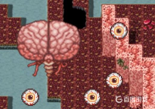 泰拉瑞亚克苏鲁之脑怎么打?3