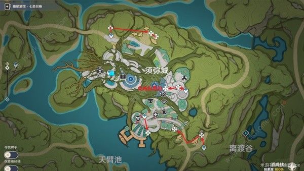 原神帕蒂沙兰新版采集位置大全4