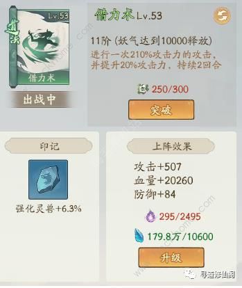 寻道大千减伤流搭配攻略7