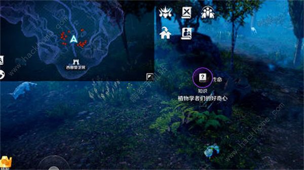 黑色沙漠手游赫墩知识收集攻略12