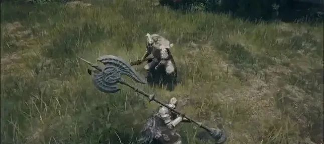 艾尔登法环攻略大全4