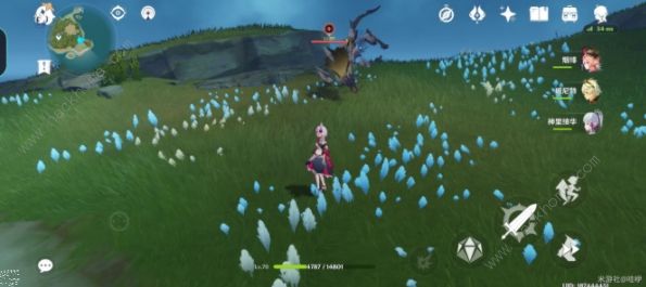 原神隐兽鬼爪攻略7