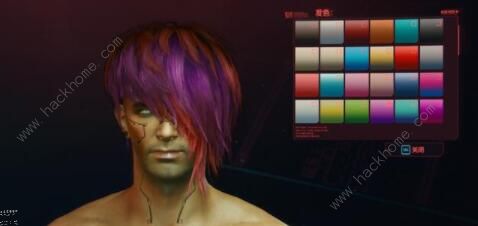 赛博朋克2077捏脸隐私数据大全2