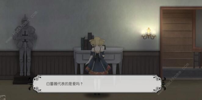 马戏团之夜新手攻略1