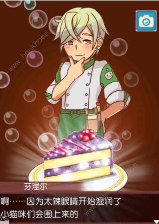 繁荣美食市场物语攻略大全6