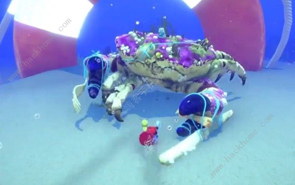 蟹蟹寻宝奇遇贪得无厌寄居蟹怎么打1