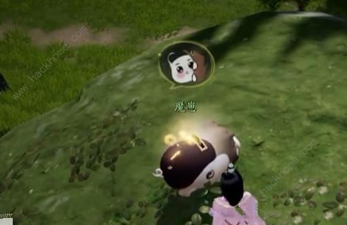 射雕手游猪崽都是谁3