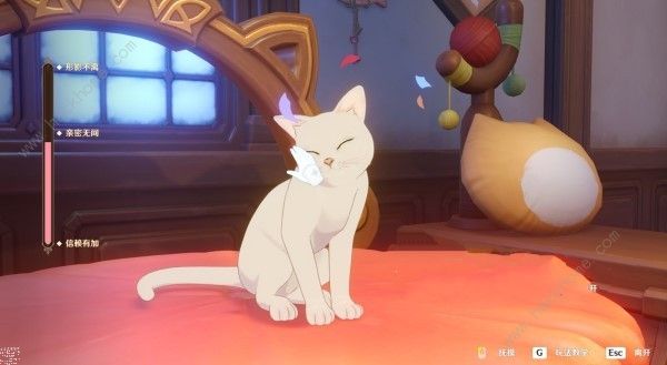 原神茸茸城堡大喵险第一天怎么过6