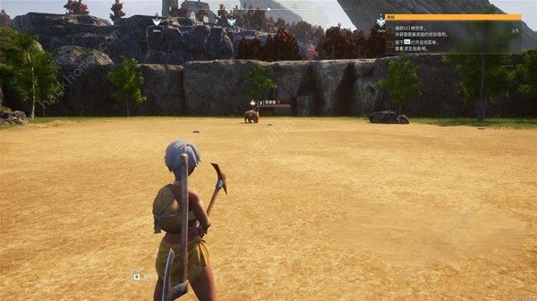 幻兽帕鲁牧场建设哪里好4