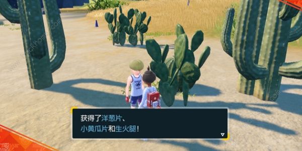 宝可梦朱紫超辣的三明治怎么做4