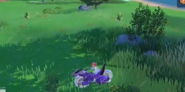 宝可梦朱紫蓝之圆盘美洛耶塔怎么得5