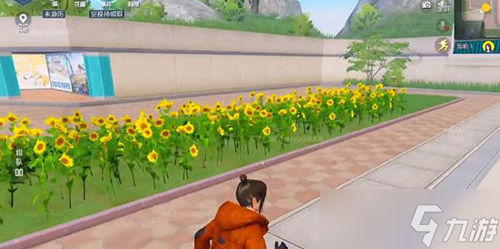 和平精英花圃种子怎么获取1