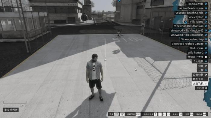 侠盗猎车手5职业怎么选2