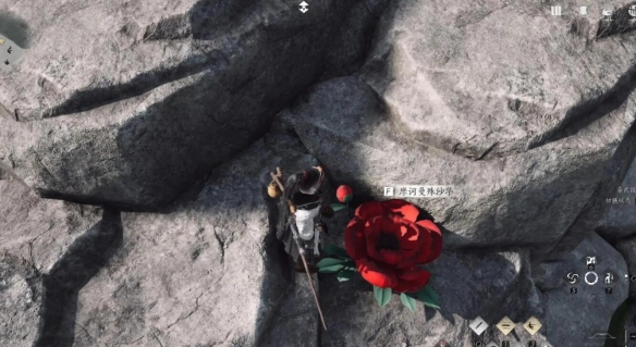 燕云十六声一花中愿任务怎么做4