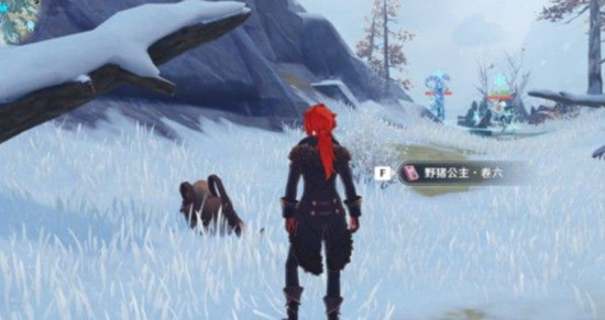 原神雪山迷踪狐狸投喂方法分享2