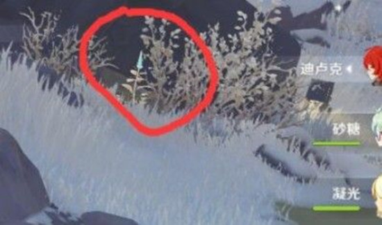 原神雪山迷踪狐狸投喂方法分享3