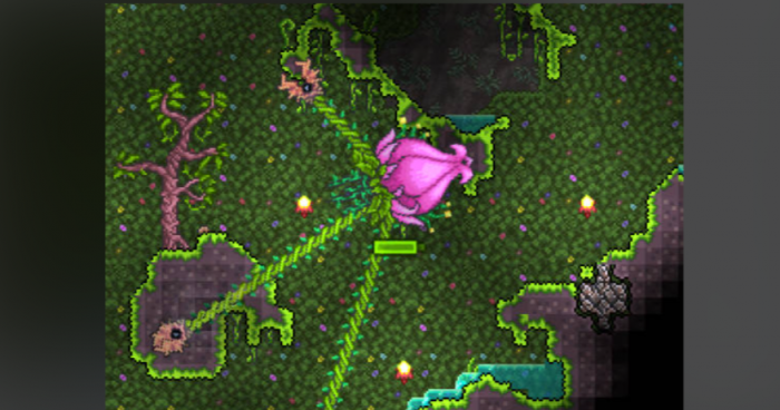 泰拉瑞亚丛林宝箱里面有什么2