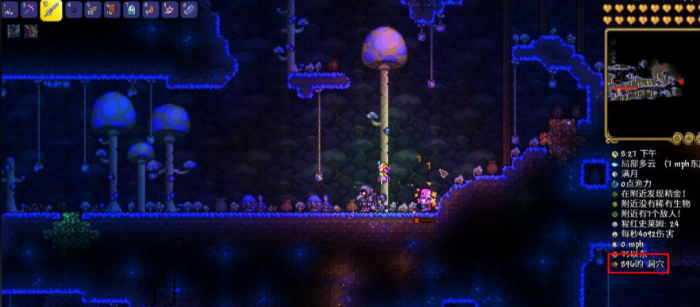 泰拉瑞亚如何快速获得松露虫1