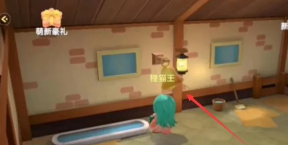 摩尔庄园在外面的鸡怎么喂1