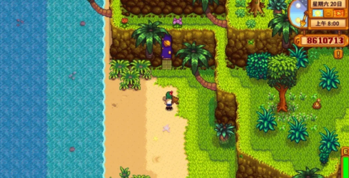 星露谷物语姜岛宝石怎么摆1