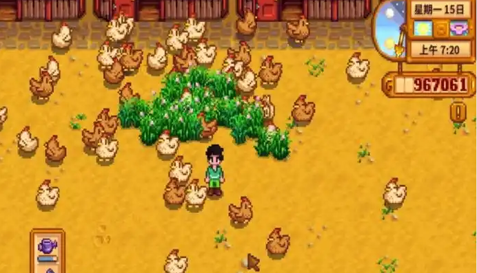 星露谷物语要怎么养鸡1