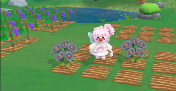 摩尔庄园怎么获得花种2