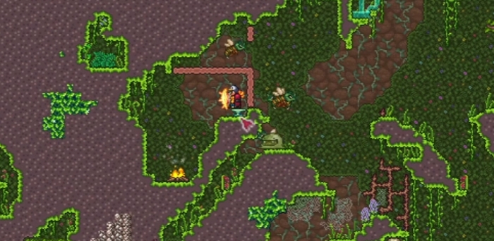 泰拉瑞亚击败肉山后下一步怎么做2