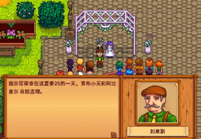 星露谷物语npc结婚有什么用1