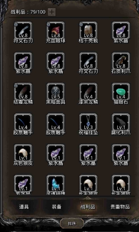 地下城堡2战利品什么属性好2