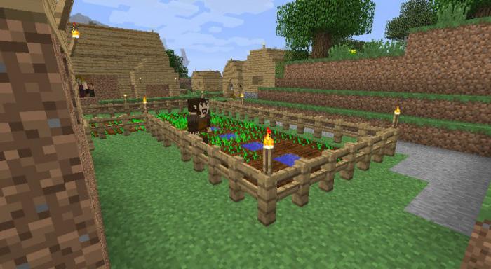 我的世界怎么调日落2