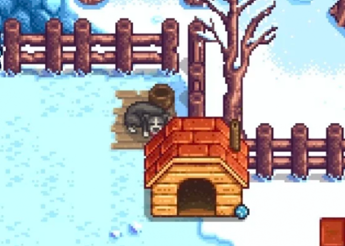 星露谷物语狗窝有什么用1