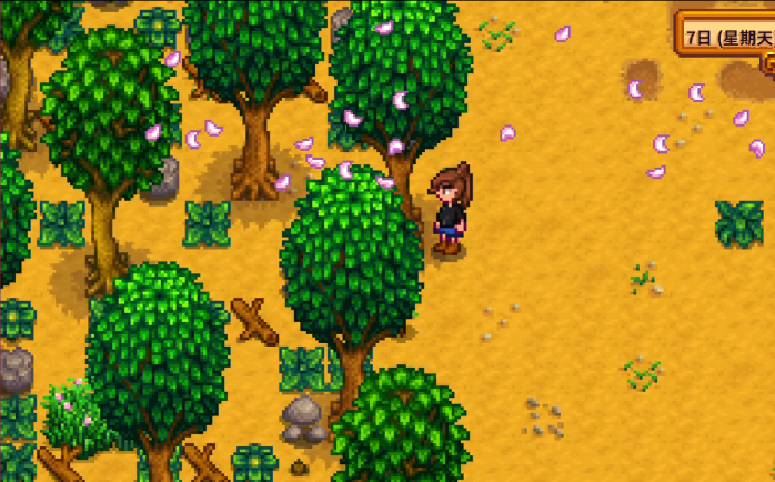 星露谷物语树种哪里好2