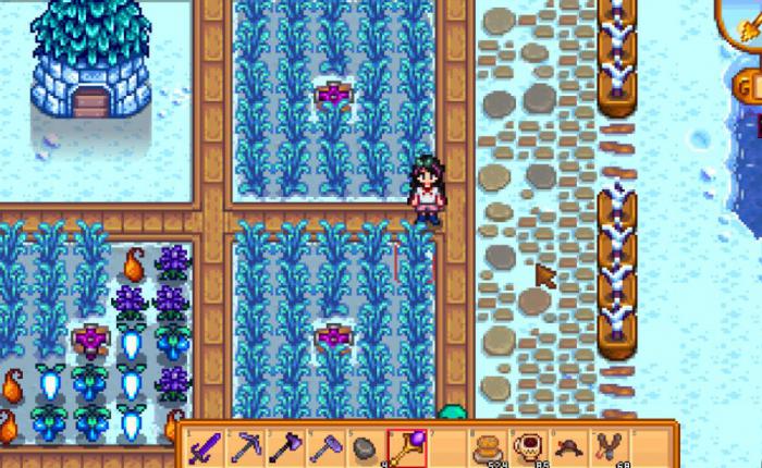 星露谷物语农场推荐什么1