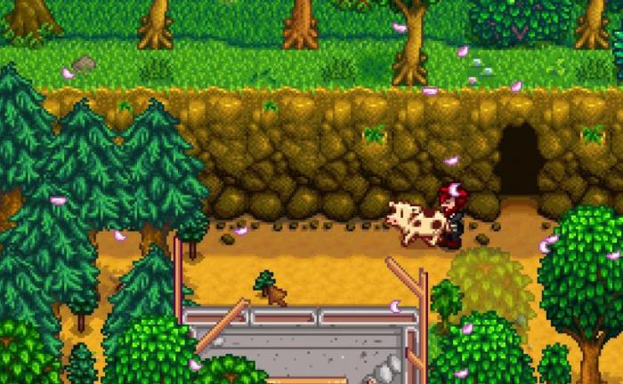 星露谷物语秋天应该干什么3