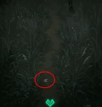 《纸嫁衣》游戏全系列通关攻略大全54