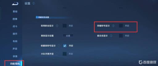 王者荣耀分路战力在榜怎么没标?4
